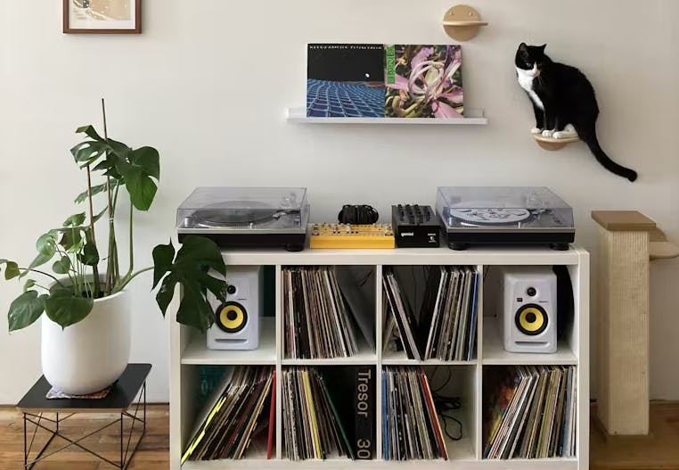 Cat records